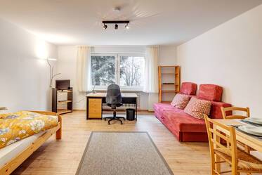 Möblierte Wohnung in Maxvorstadt