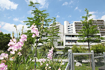 Zu sehen sind die Gebäude des Olympiadorfes mit Blumen im Vordergrund