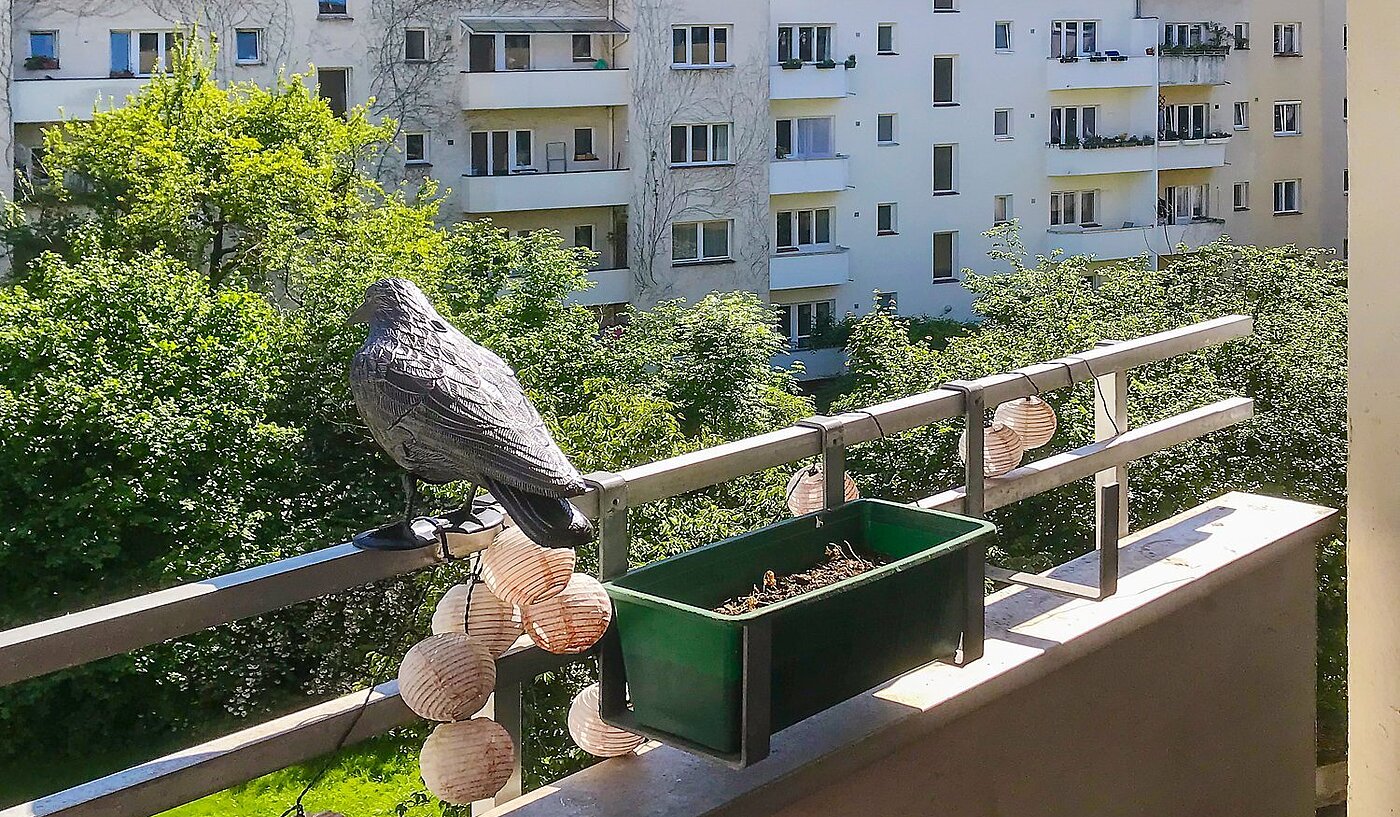 Etagenwohnung mit 3 Zimmern | München-Schwabing | 2006ML4 | Blick vom sonnigen...