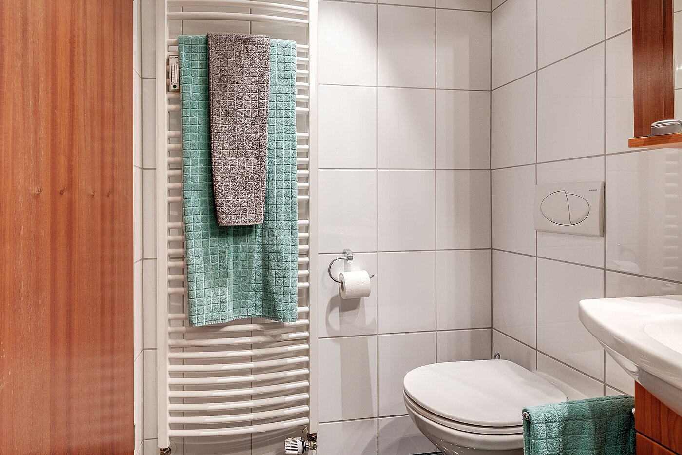 Etagenwohnung mit 1 Zimmer | München-Haidhausen | 2102ML4 | ...und Handtuchheizkörper