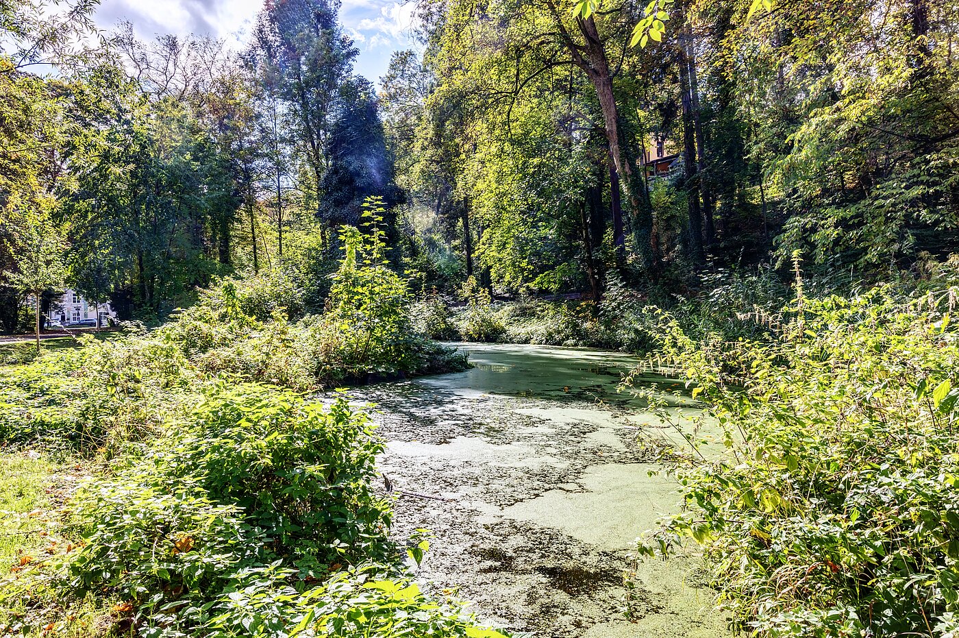 Etagenwohnung mit 2 Zimmern | München-Thalkirchen | 70493 | Viel Natur