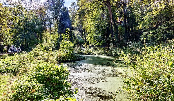 Etagenwohnung mit 2 Zimmern | München-Thalkirchen | 70493 | Viel Natur