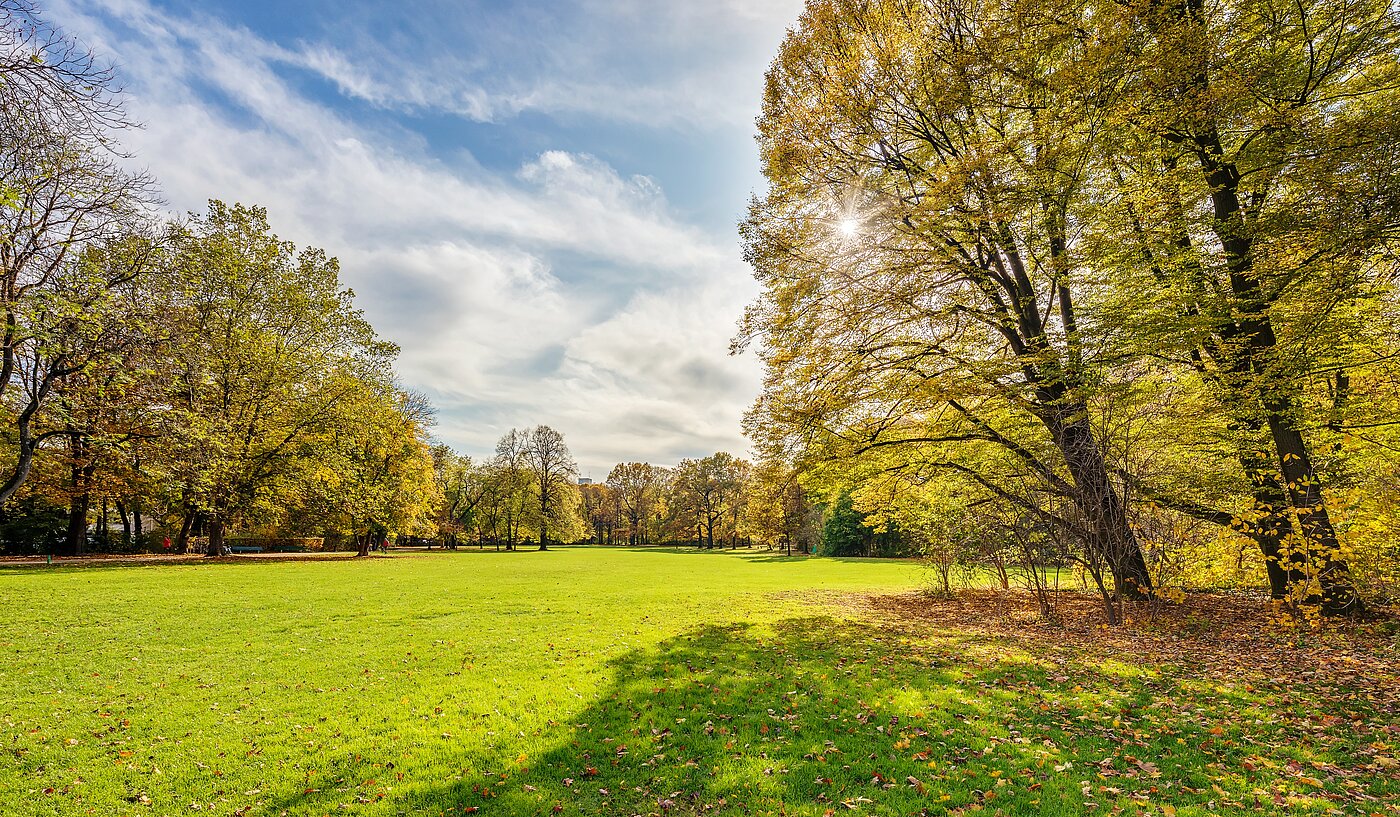 Apartment mit 1 Zimmer | München-Milbertshofen | 70188 | Naherholung