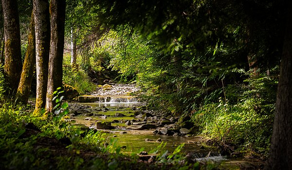 Erdgeschosswohnung mit 3 Zimmern | Bad Wiessee | 70053 | Zeiselbach