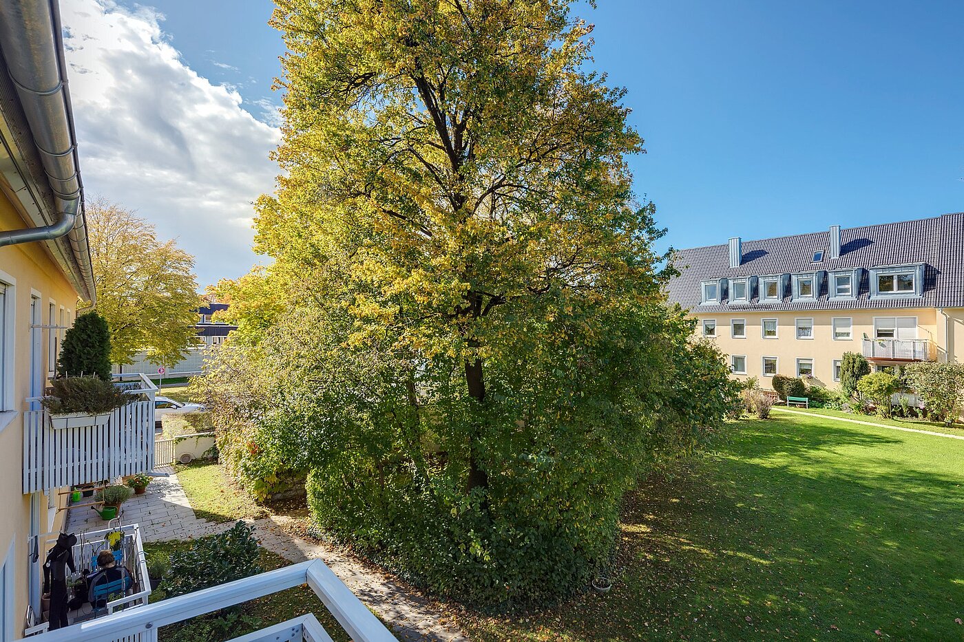Etagenwohnung mit 3 Zimmern | München-Untergiesing | 1909ML6 | Grünfläche