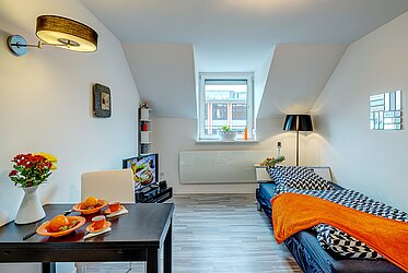 Maxvorstadt: Kleines 1-Zi. Apartment zwischen Stiglmair- und Königsplatz - frei
