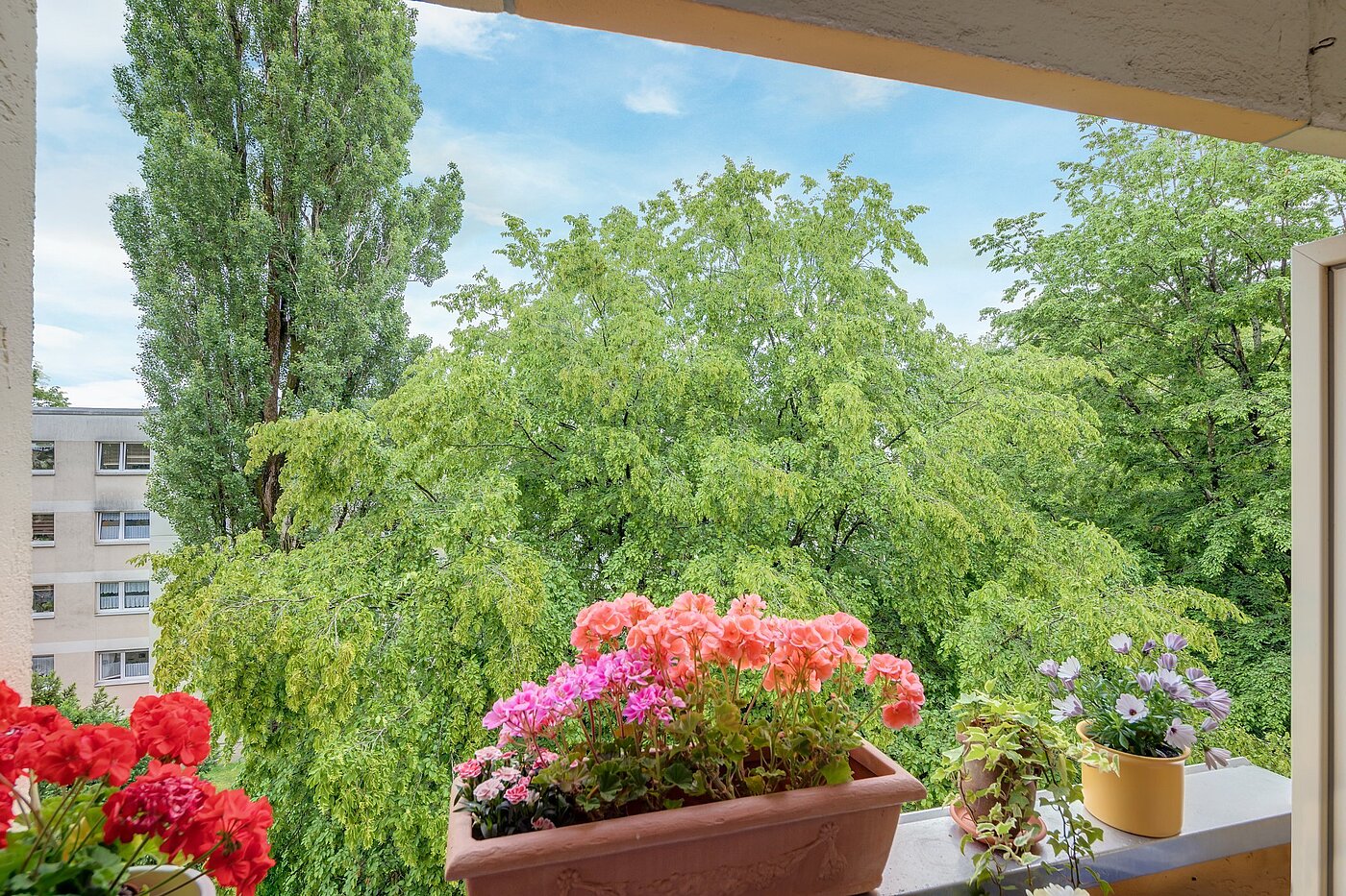 Etagenwohnung mit 1 Zimmer | München-Forstenried | 2106ML6 | ...mit Blick ins Grüne