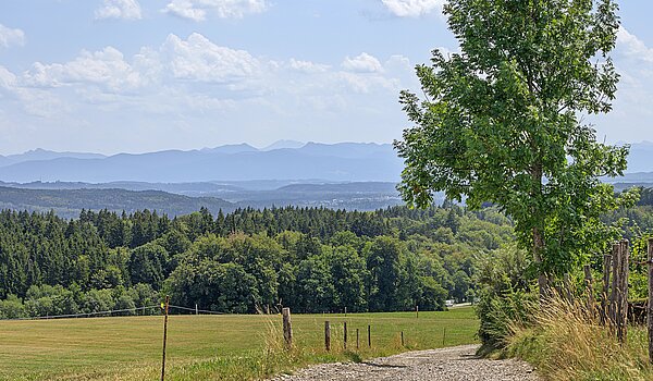 Einfamilienhaus mit 5 Zimmern | Icking | 70438 | Umgeben von Bergen