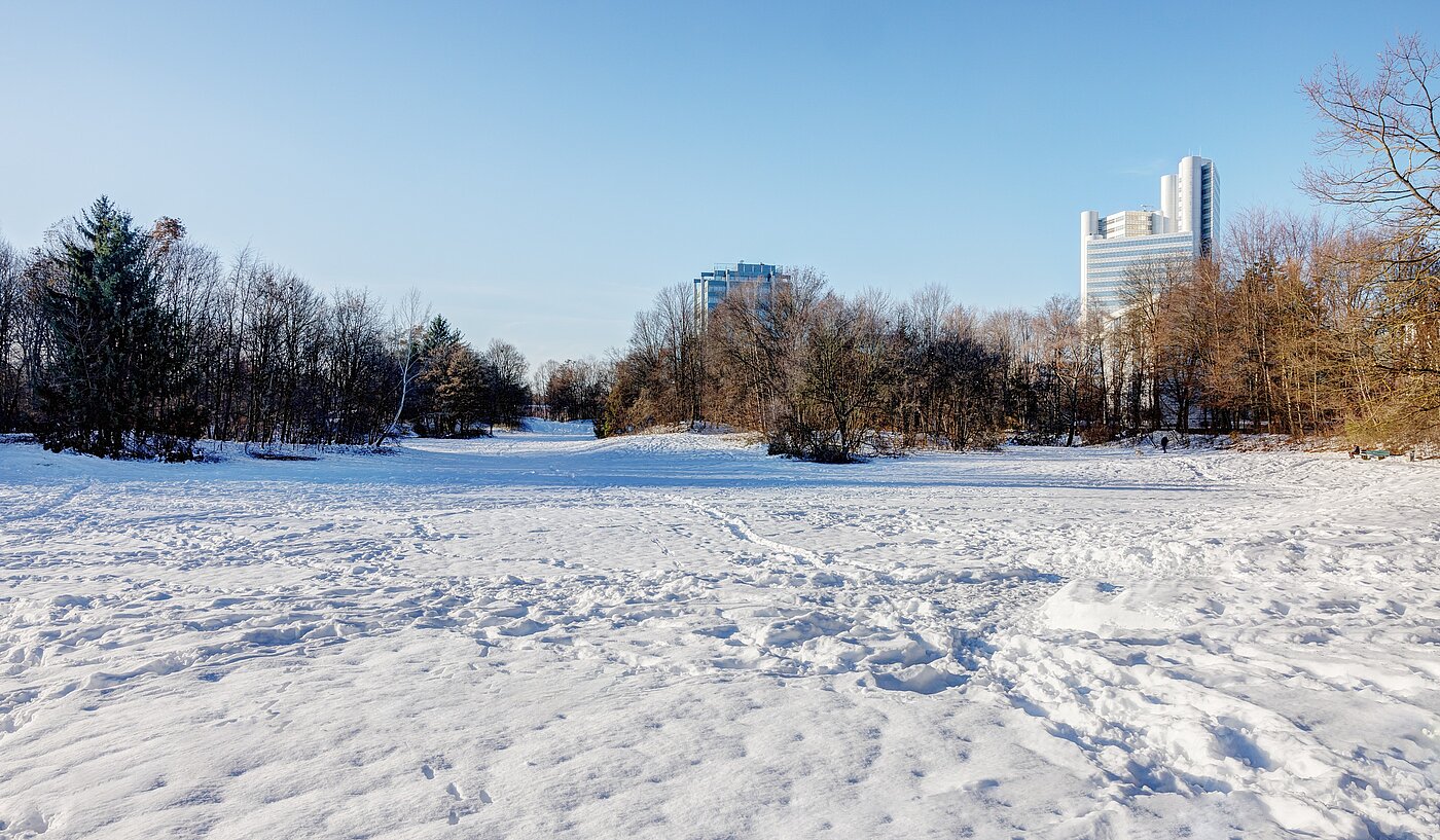 Etagenwohnung mit 3 Zimmern | München-Bogenhausen | 70085 | Denninger Anger