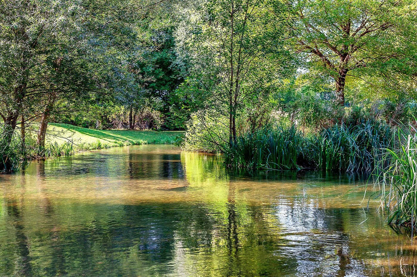 Etagenwohnung mit 2 Zimmern | München-Schwabing | 2205ML62 | Naherholung garantiert