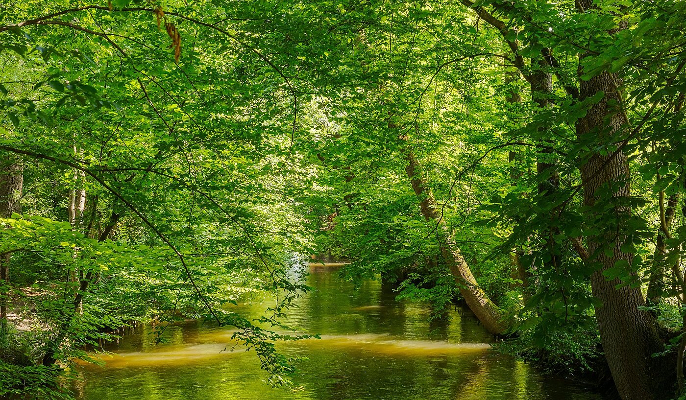 Etagenwohnung mit 2 Zimmern | München-Pasing | 2108ML1 | Naherholung im Stadtpark