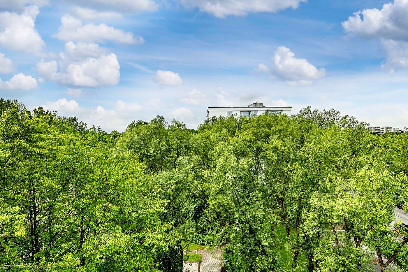 Etagenwohnung mit 2 Zimmern | München-Bogenhausen | 2206ML3 | Sommerimpressionen