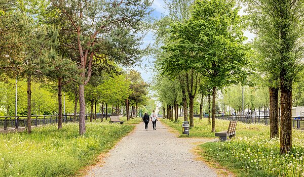 Etagenwohnung mit 2 Zimmern | München-Sendling-Westpark | 704131 | Grüne Umgebung