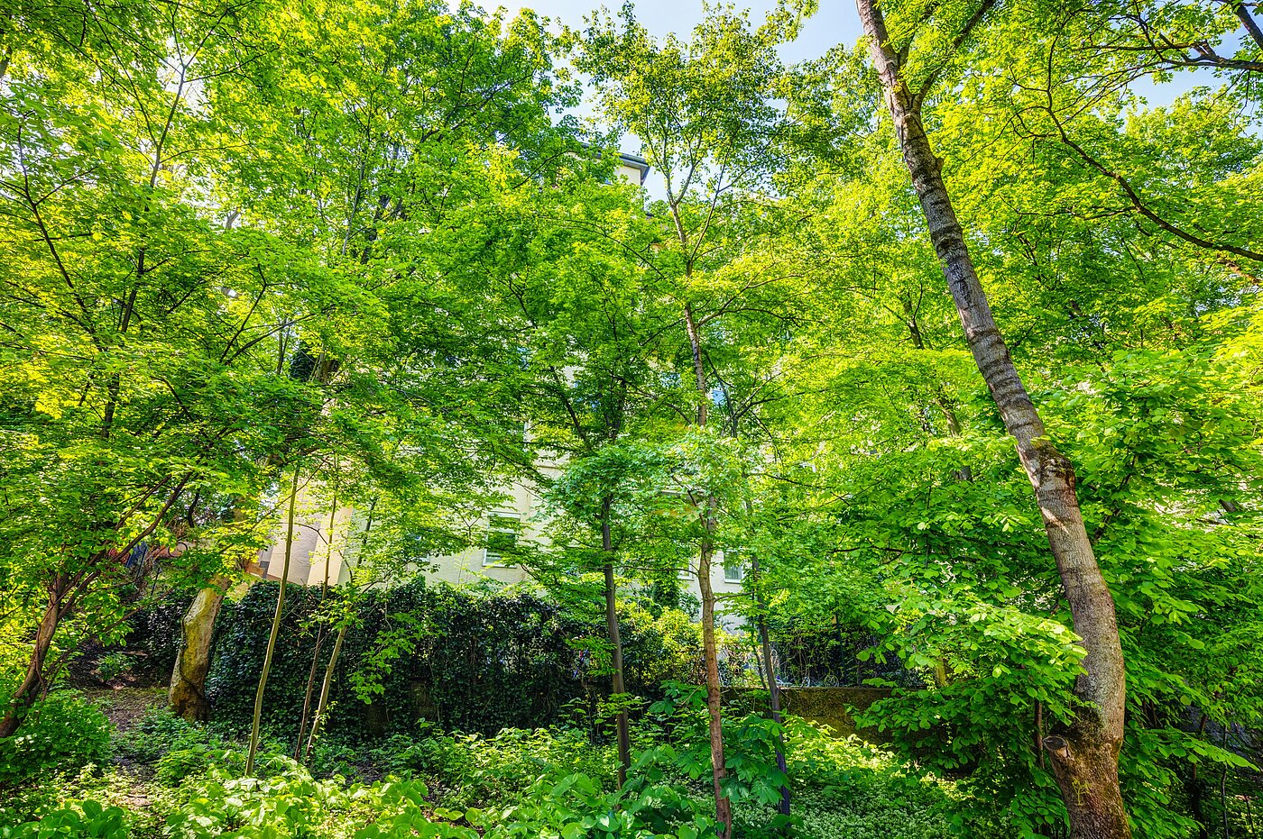 Etagenwohnung mit 2.5 Zimmern | München-Sendling | 70067 | ...versteckt hinter Bäumen