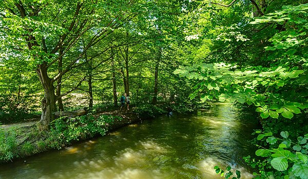 Doppelhaushälfte mit 6 Zimmern | München-Pasing | 2007ML5 | Die Würm um die Ecke