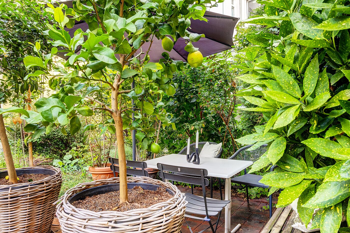 Erdgeschosswohnung mit 1 Zimmer | München-Haidhausen | 70228 | ...Südfrüchten und...