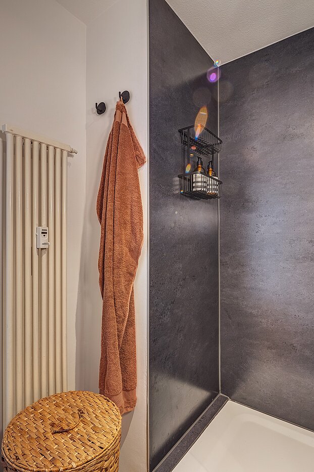 Etagenwohnung mit 1 Zimmer | München-Maxvorstadt | 700022 | Große Dusche