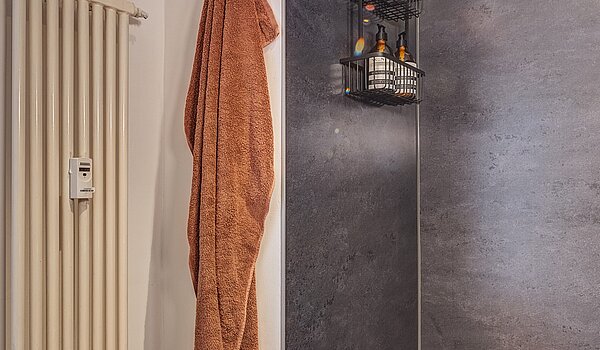 Etagenwohnung mit 1 Zimmer | München-Maxvorstadt | 700022 | Große Dusche