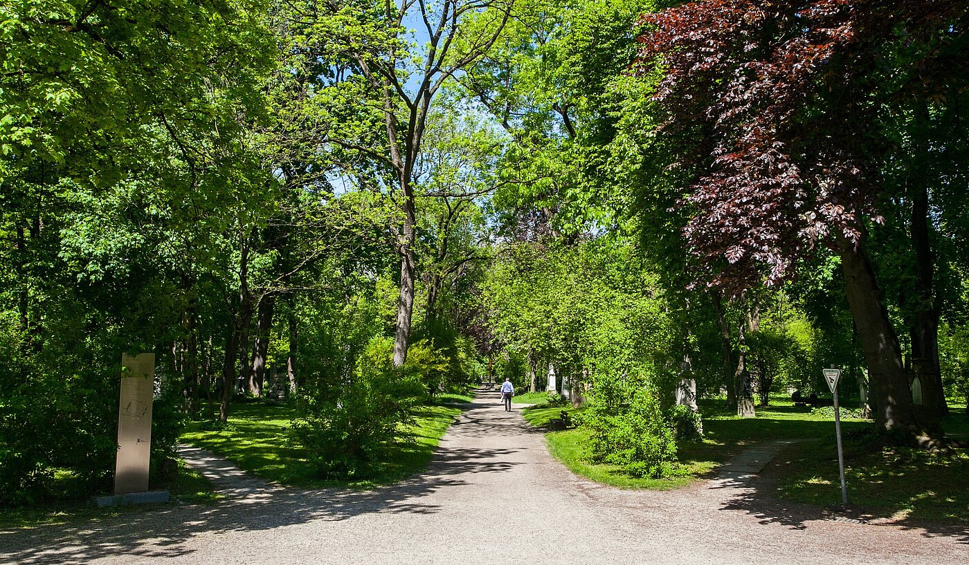 Etagenwohnung mit 3 Zimmern | München-Maxvorstadt | 2203ML31 | ...Sommer