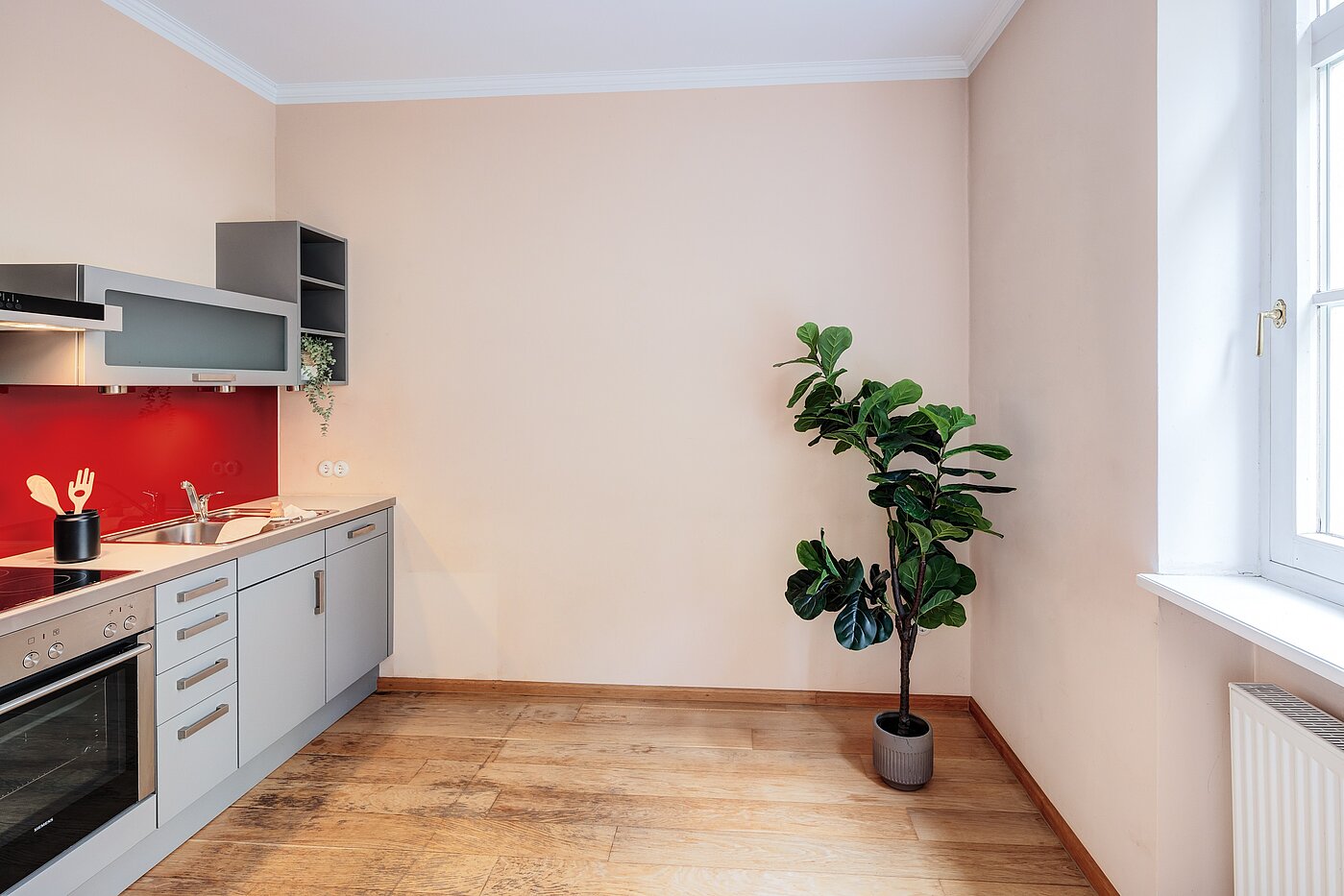 Erdgeschosswohnung mit 1 Zimmer | München-Haidhausen | 70228 | ...und Wohnküche