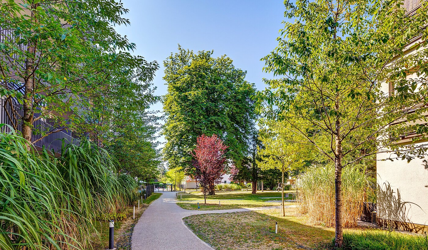 Etagenwohnung mit 1 Zimmer | München-Ramersdorf | 2207ML51 | ...Umgebung