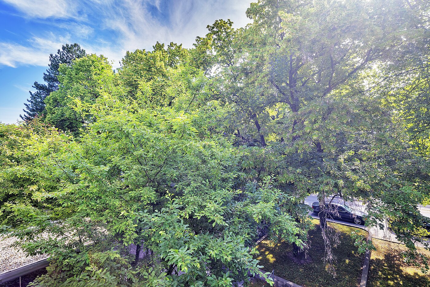 Etagenwohnung mit 3.5 Zimmern | München-Bogenhausen | 70267 | ...Ausblick ins Grüne