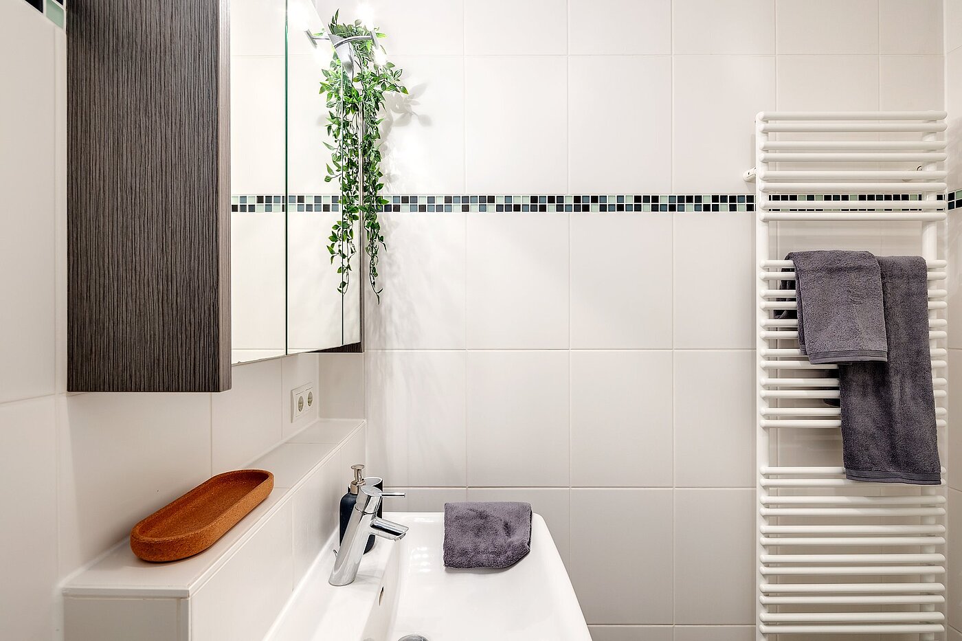 Etagenwohnung mit 1 Zimmer | München-Pasing | 2108ML2 | mit Handtuchhalter