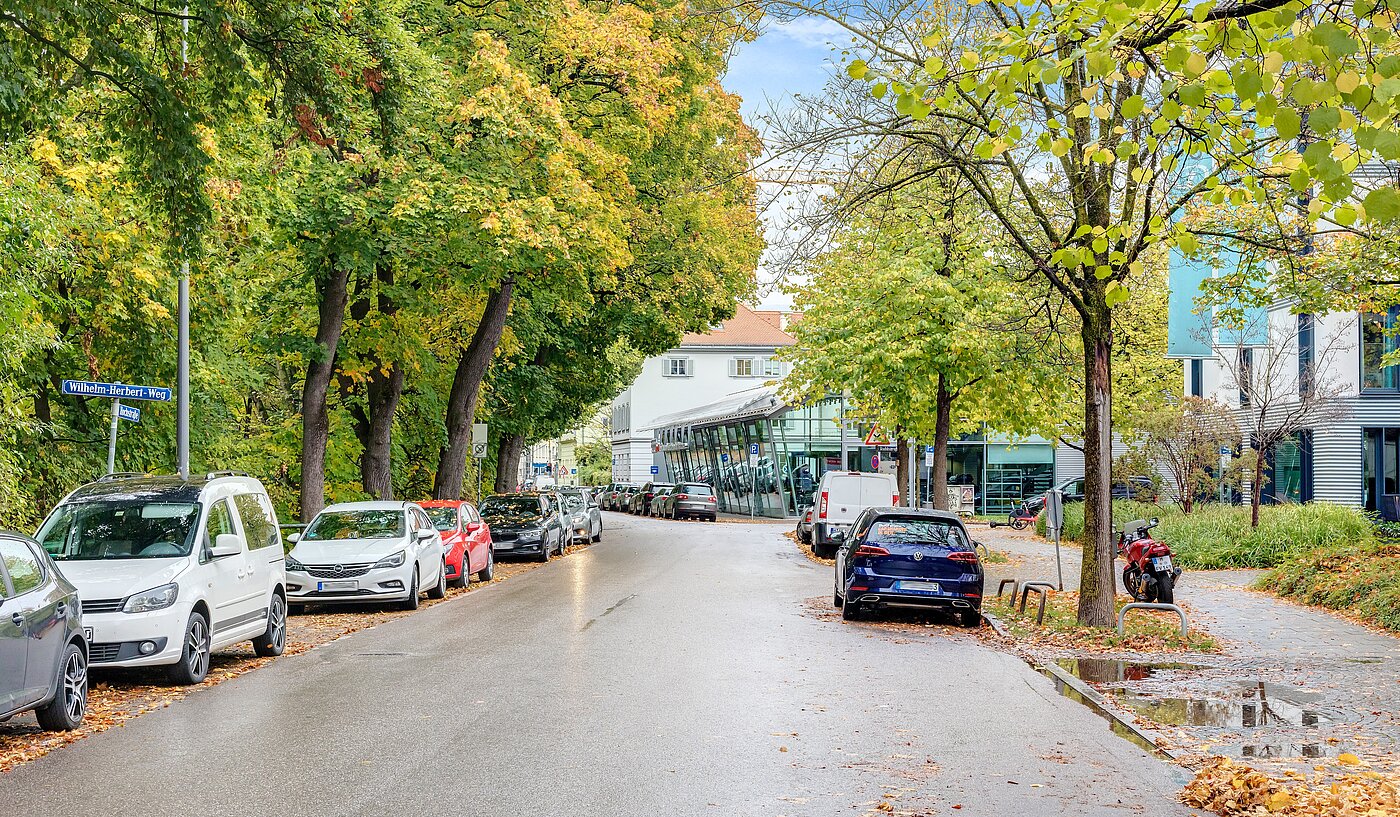 Etagenwohnung mit 1 Zimmer | München-Au | 2211ML1 | Umgebung