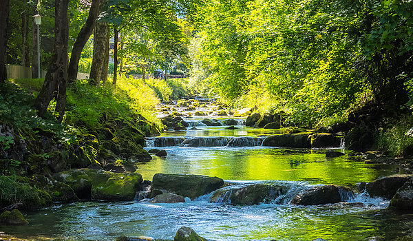 Besondere Immobilie mit 15 Zimmern | Bad Wiessee | 701592 | Söllbach