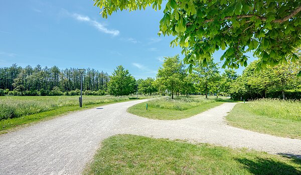 Reiheneckhaus mit 6 Zimmern | München-Trudering | 70191 | ...Impressionen