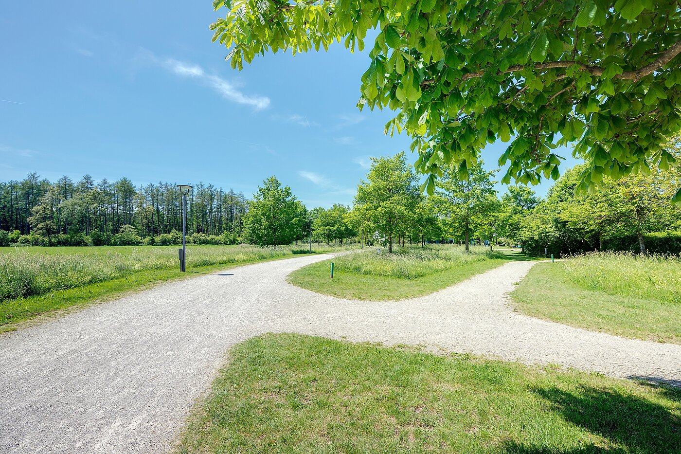 Reiheneckhaus mit 6 Zimmern | München-Trudering | 70191 | ...Impressionen