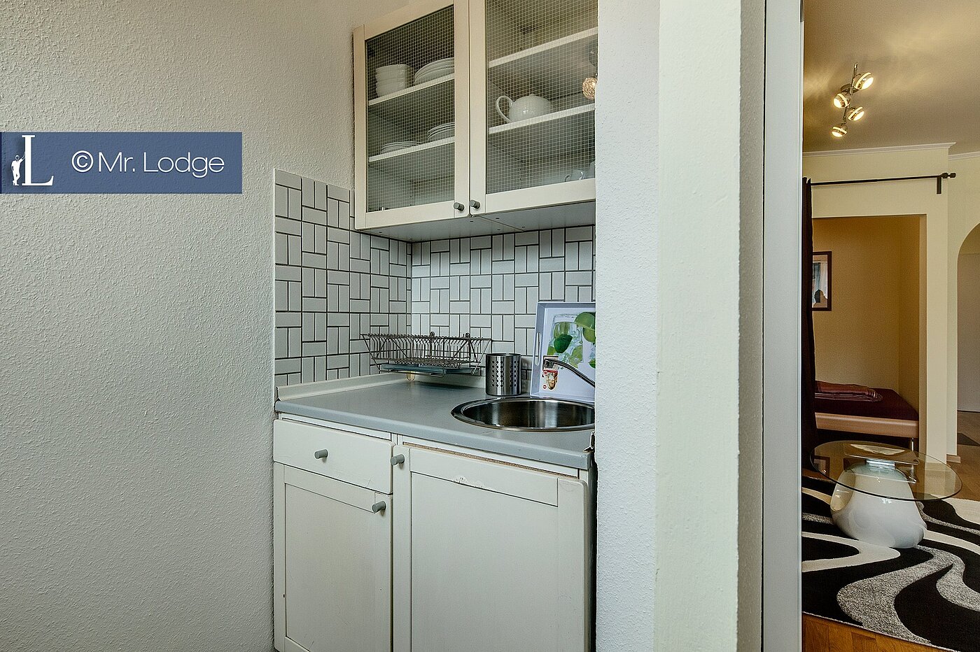 Etagenwohnung mit 1 Zimmer | München-Ludwigsvorstadt | 1706ML6