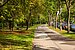 Apartment mit 1 Zimmer | München-Solln | 70499 | Ruhige Umgebung... | Thumbnail