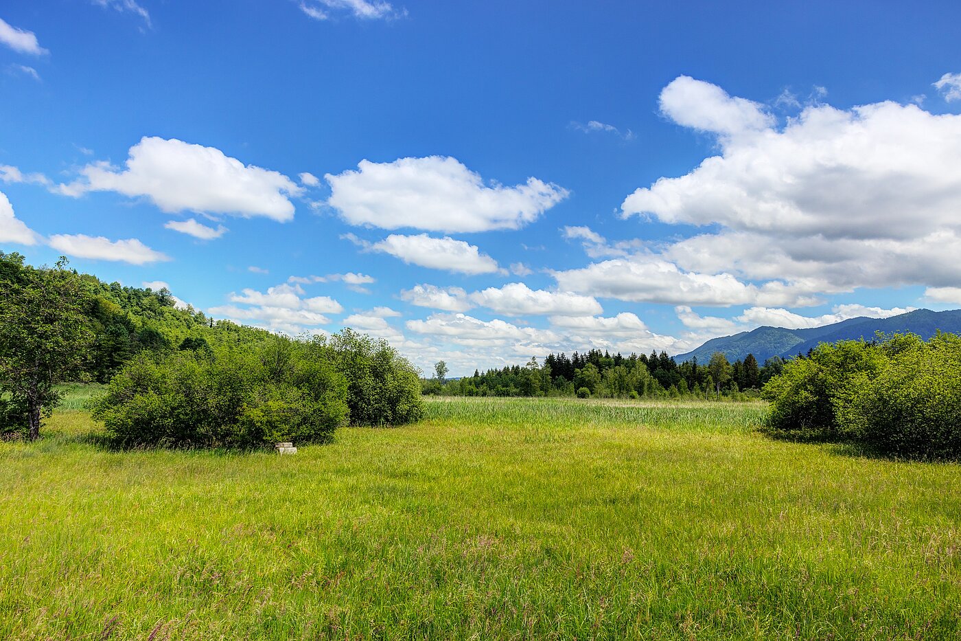 Reiheneckhaus mit 5 Zimmern | Penzberg | 701121 | ...Naturschutzgebiet