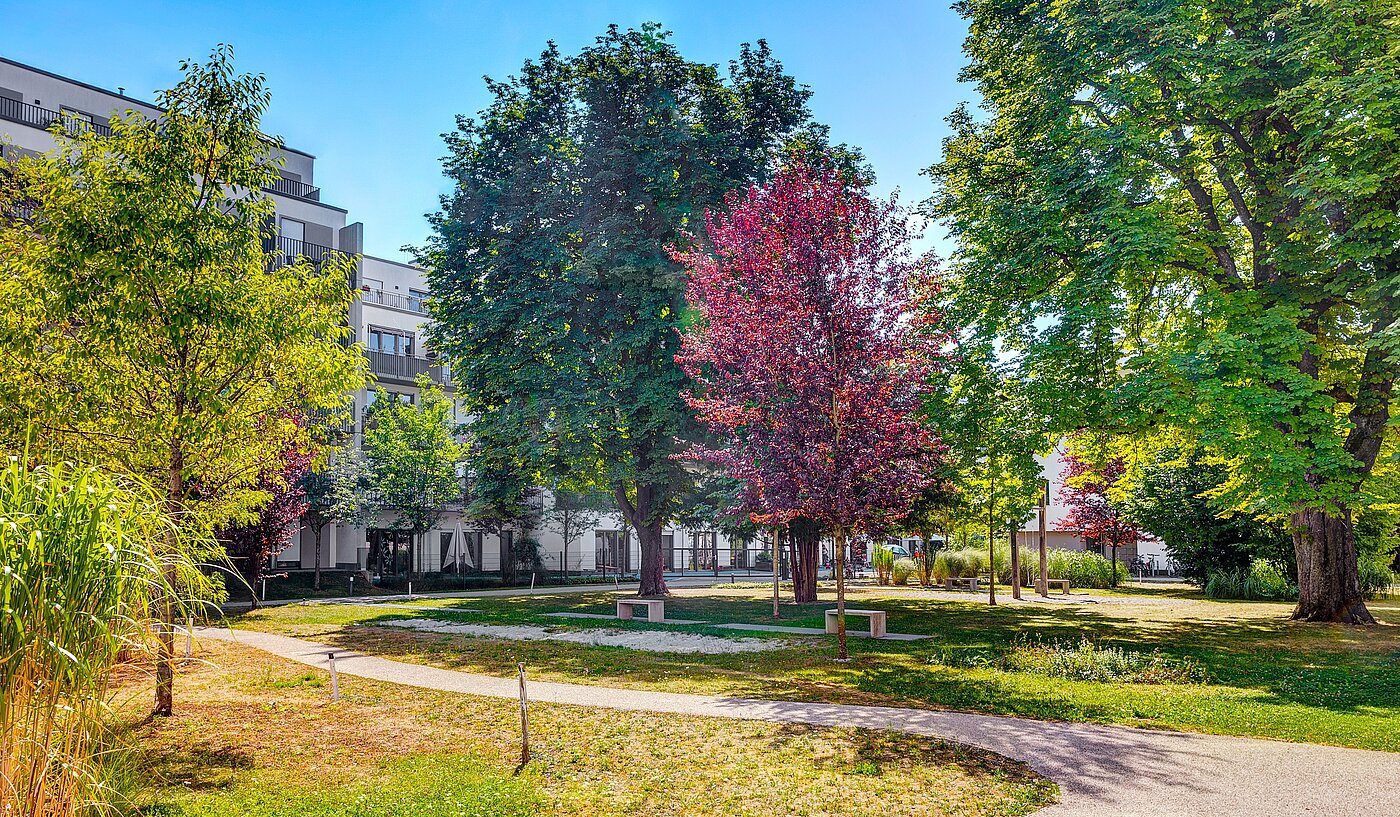 Etagenwohnung mit 1 Zimmer | München-Ramersdorf | 2207ML51 | Schöne Außenanlage