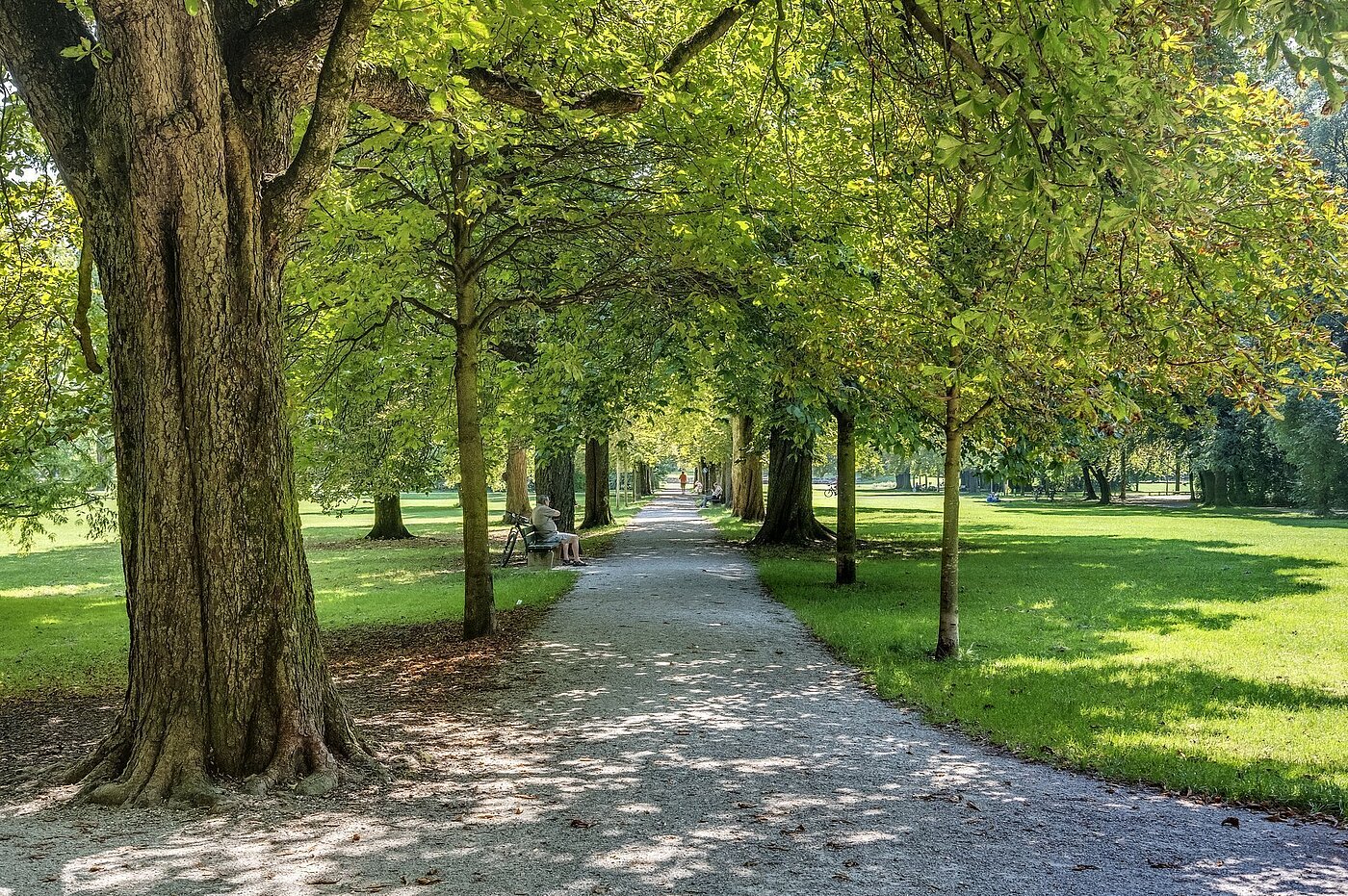 Etagenwohnung mit 1 Zimmer | München-Schwabing | 2207ML10 | ...Freizeitwert