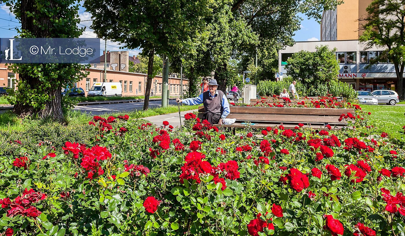 Etagenwohnung mit 2 Zimmern | München-Nymphenburg | 1809ML2 | Leonrodplatz