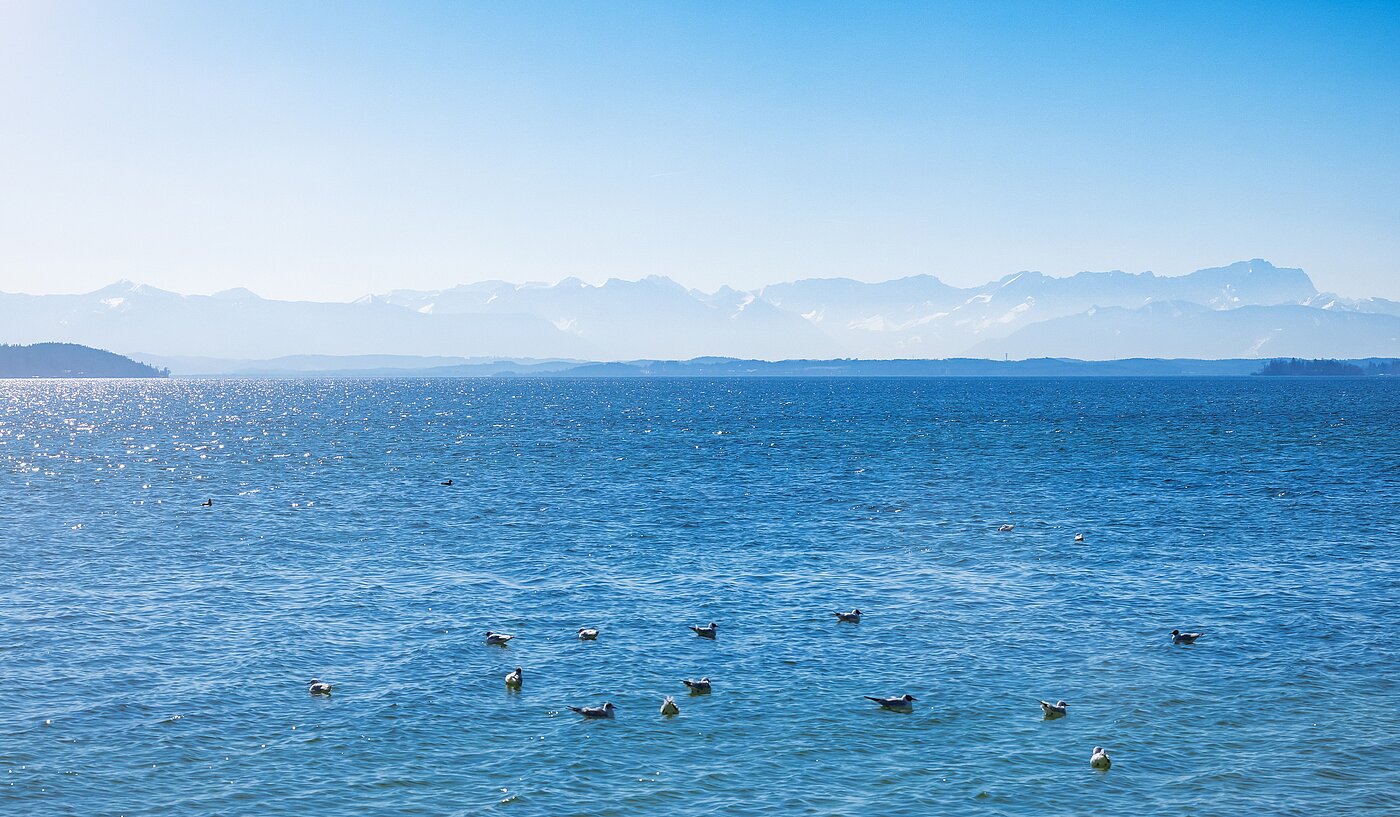 Etagenwohnung mit 1 Zimmer | Starnberg | 2202ML2 | ...nicht weit entfernt