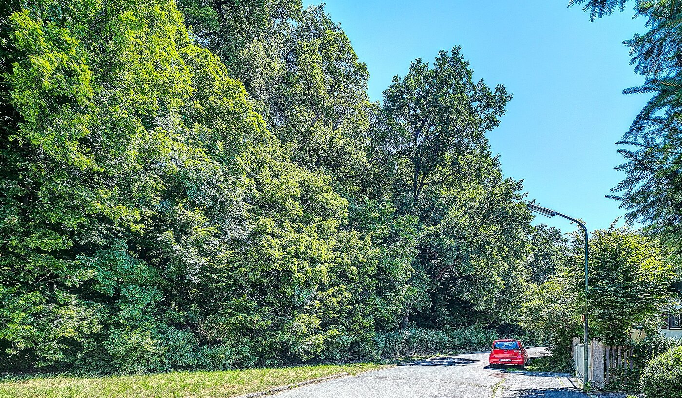 Etagenwohnung mit 2 Zimmern | München-Allach | 1903ML6 | Parklage