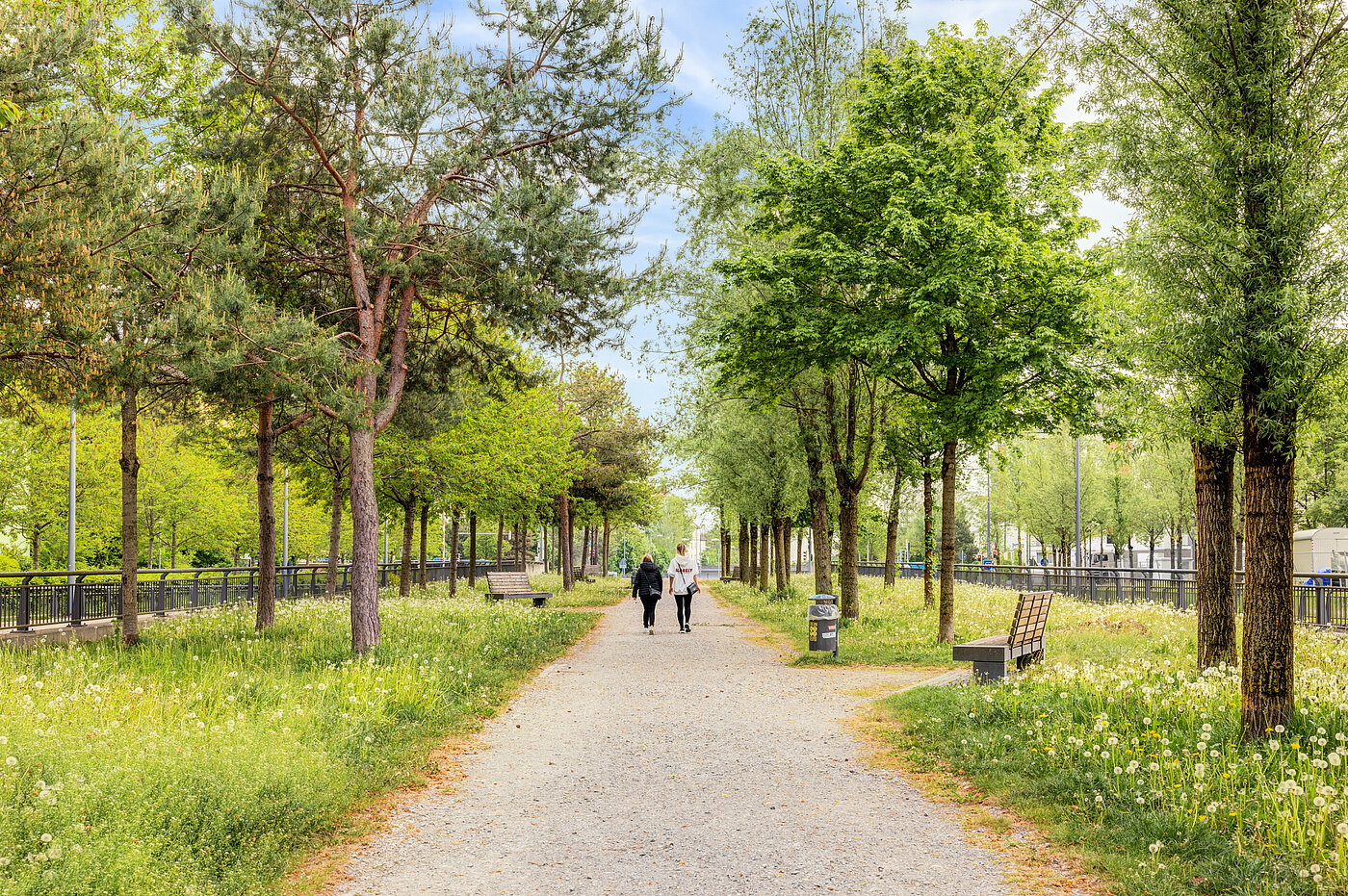 Etagenwohnung mit 2 Zimmern | München-Sendling-Westpark | 70413 | Grüne Umgebung