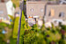 Reiheneckhaus mit 5.5 Zimmern | München-Trudering | 702531 | Von oben | Thumbnail