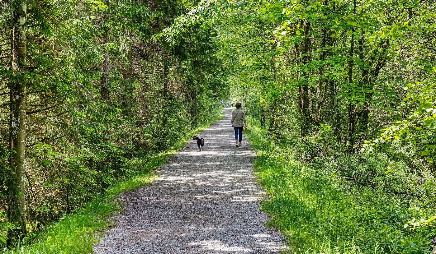 Etagenwohnung mit 6 Zimmern | 70095 | Der Erlebnisweg an der Weissach
