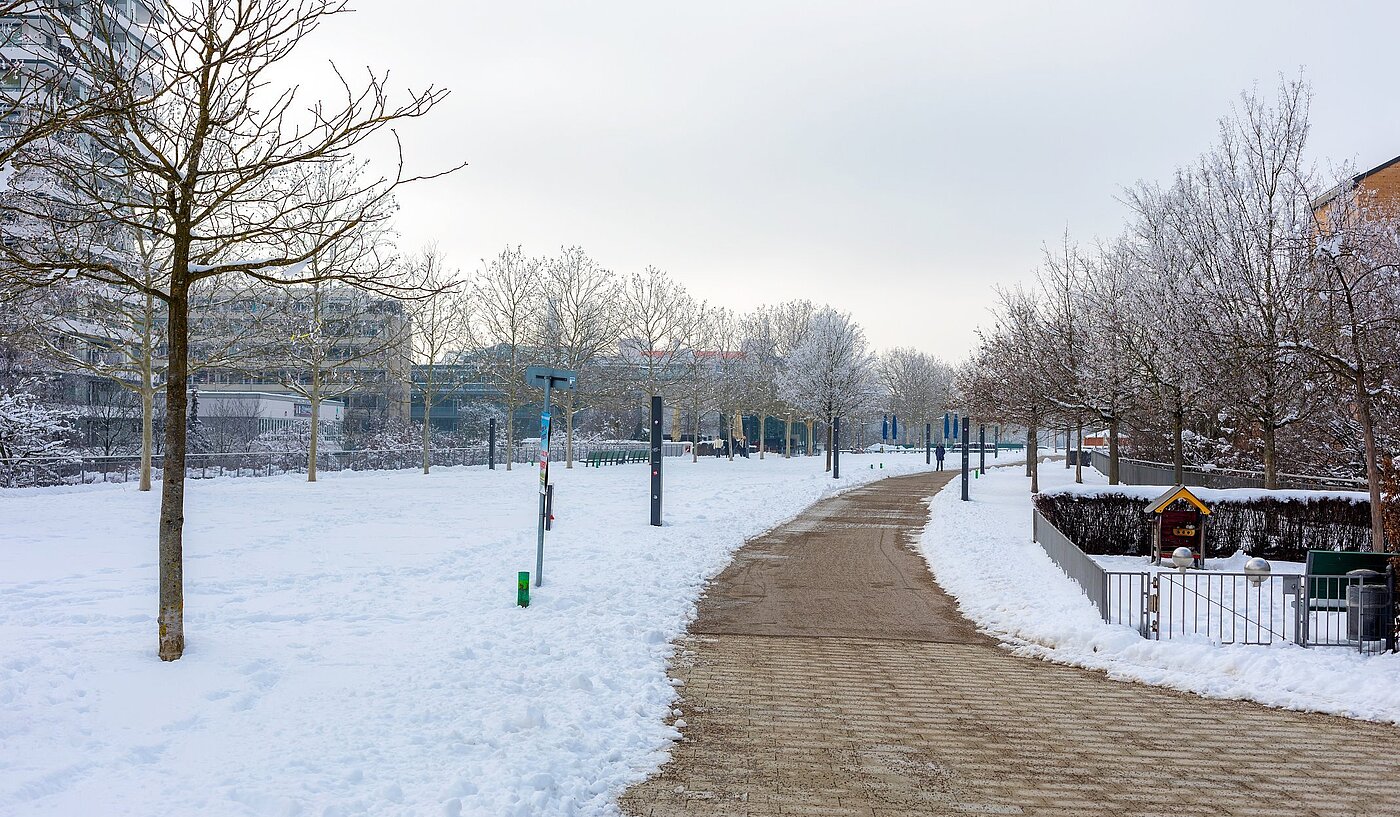 Etagenwohnung mit 3 Zimmern | München-Milbertshofen | 1902ML3