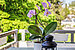 Etagenwohnung mit 3 Zimmern | München-Trudering | 70443 | Sonniger Westbalkon | Thumbnail