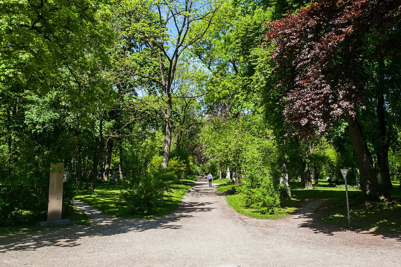 Etagenwohnung mit 1 Zimmer | München-Maxvorstadt | 70027 | ...in der Umgebung