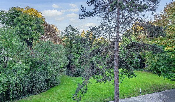 Etagenwohnung mit 1 Zimmer | München-Bogenhausen | 70264 | ...ins Grüne