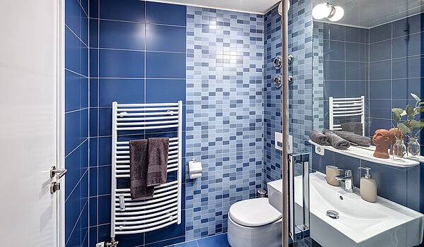 Etagenwohnung mit 1 Zimmer | München-Maxvorstadt | 70165 | ...Handtuchheizkörper