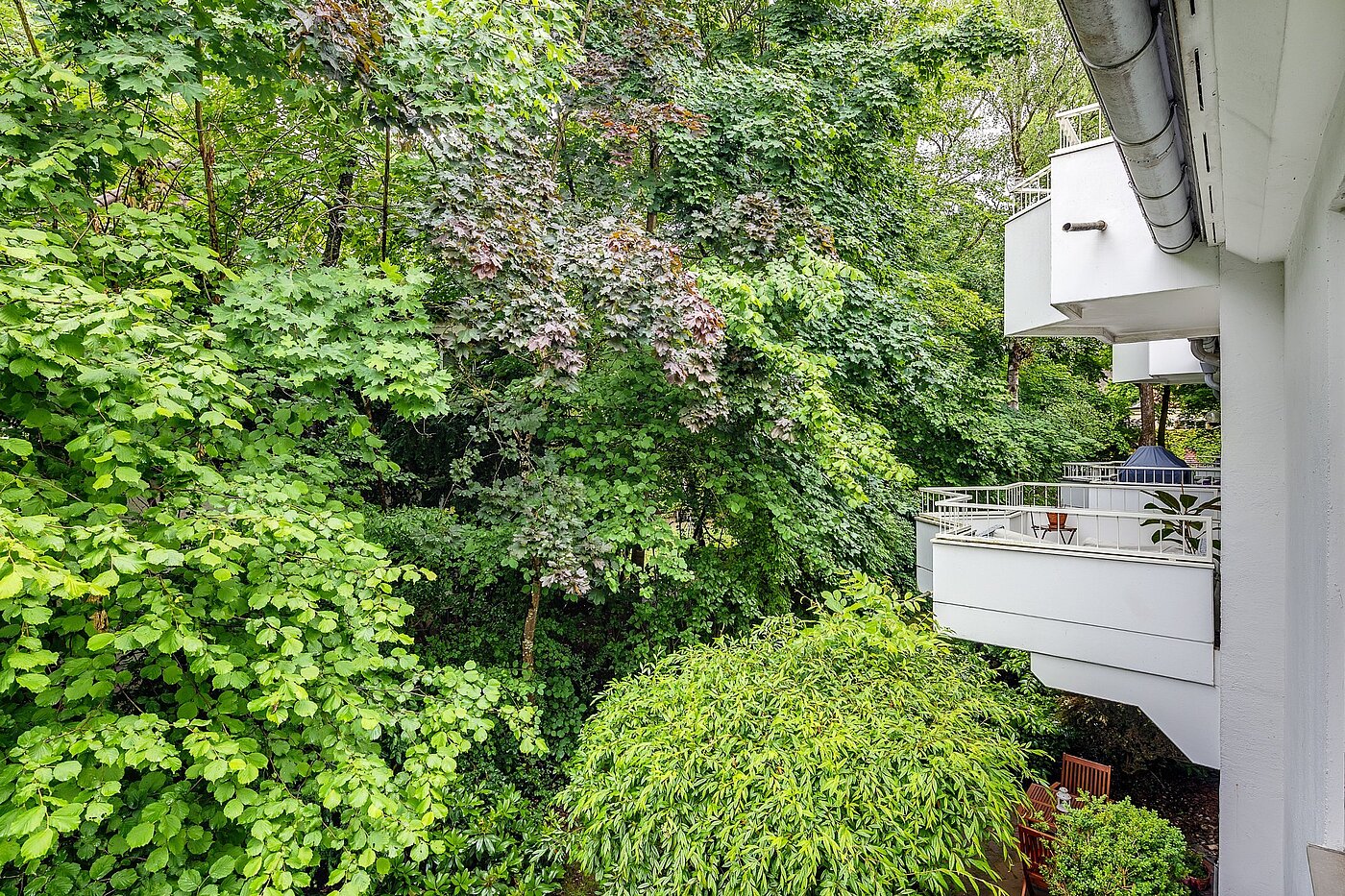 Etagenwohnung mit 3 Zimmern | München-Harlaching | 2108ML3 | ...Blick in die grüne...