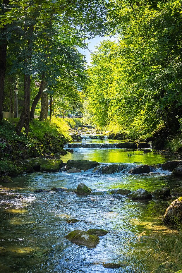 Besondere Immobilie mit 15 Zimmern | Bad Wiessee | 701591 | Söllbach