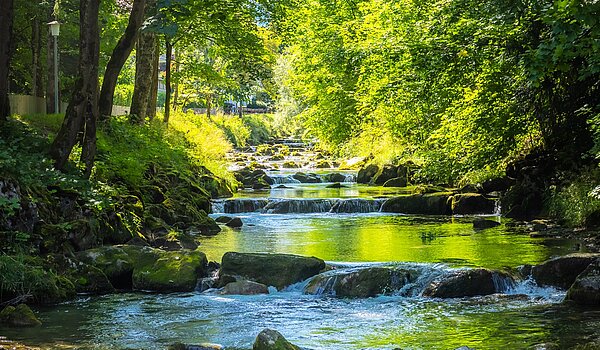 Besondere Immobilie mit 15 Zimmern | Bad Wiessee | 701591 | Söllbach